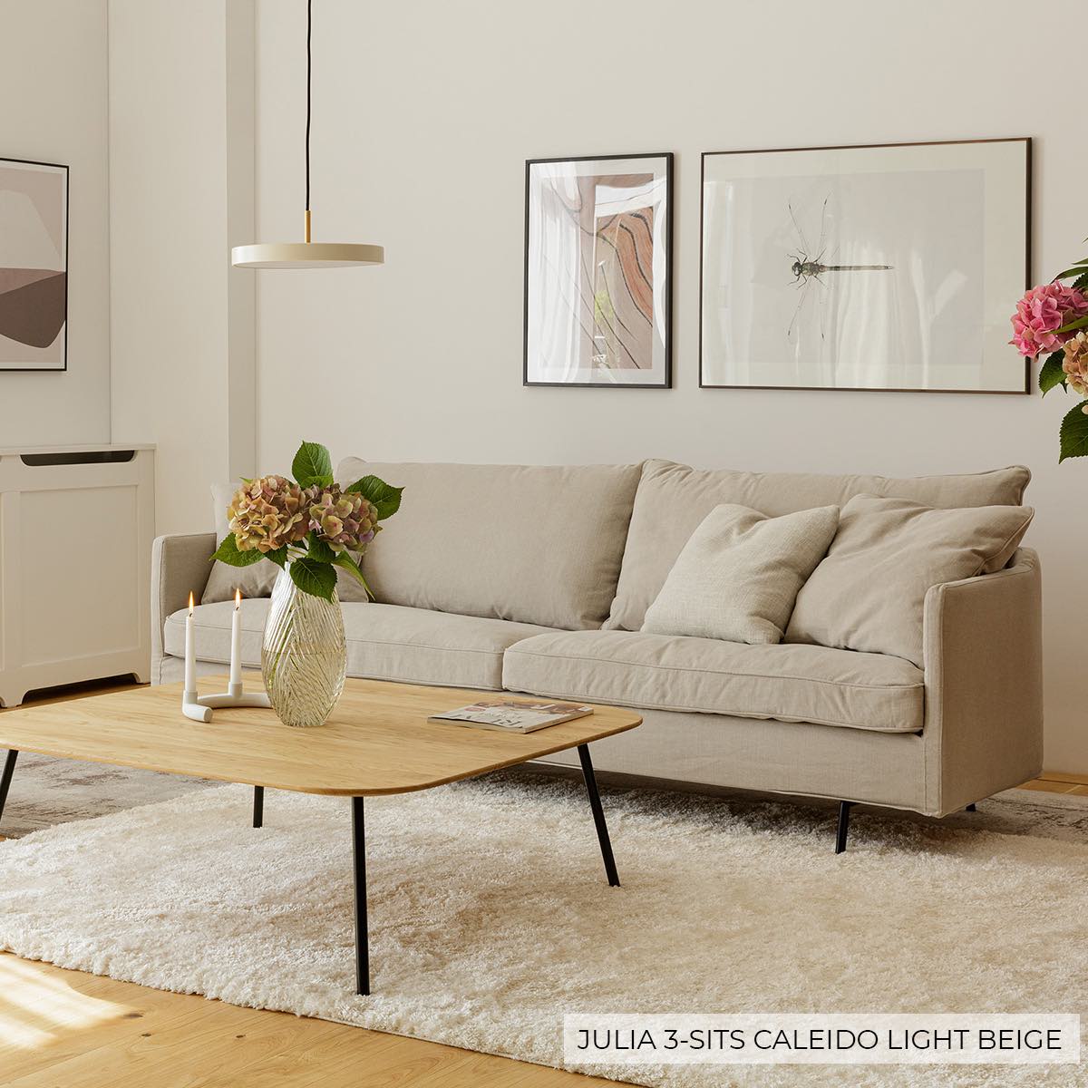Julia - Bild 6